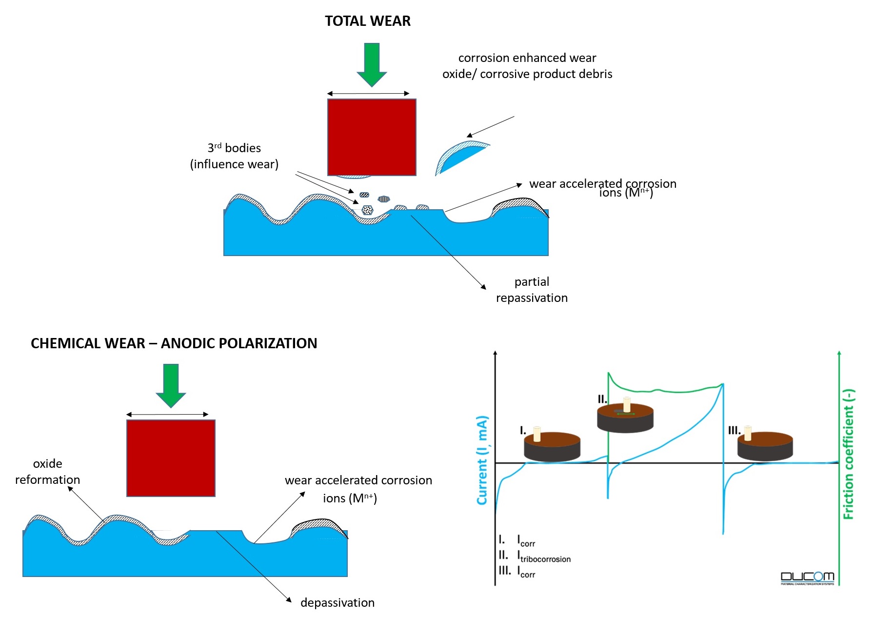 Evaluating Tribocorrosion - Chemical And Mechanical Wear Of Materials